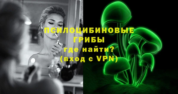 молекула духа Карпинск