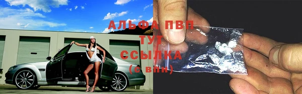 молекула духа Карпинск