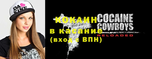 молекула духа Карпинск