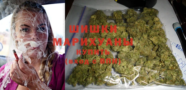 молекула духа Карпинск