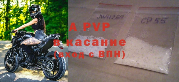 молекула духа Карпинск