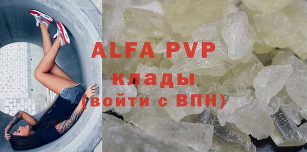 молекула духа Карпинск
