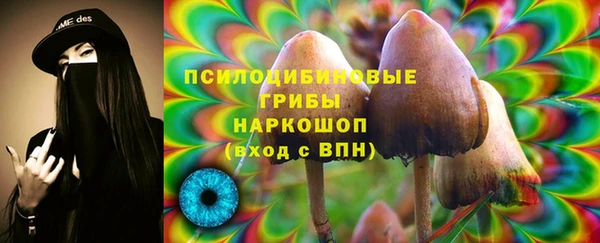 мескалин Касимов