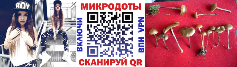 Купить закладки  Родники  Псилоцибиновые грибы Psilocybe 
