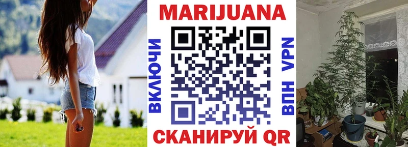 Шишки марихуана MAZAR  Купить где  Родники 